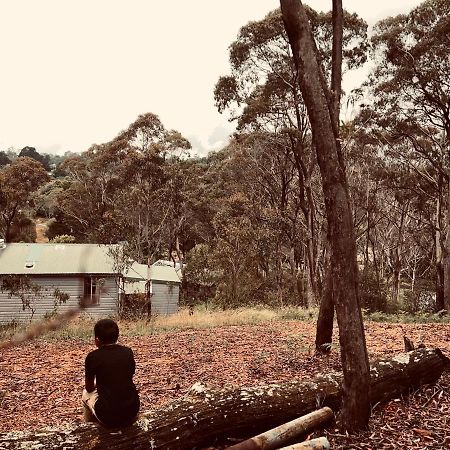 Katoomba Hideaway - Free Wifi, Netflix, Disney Plus Exterior foto
